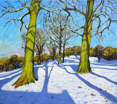 ANDREW MACARA  - winter trees, breadsall priory, derbyshire